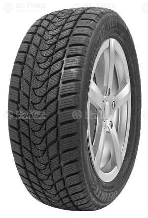 Delinte Winter WD1 205/55 R16 91T