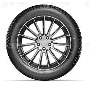 Doublestar DW01 215/60 R16 95T