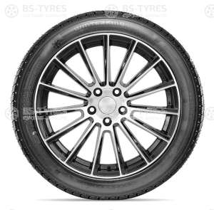 Doublestar DW02 255/55 R19 111T