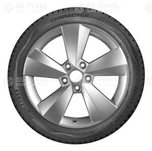 Ikon (Nokian Tyres) Character Snow 2 (Nordman RS2) SUV 235/65 R18 110R