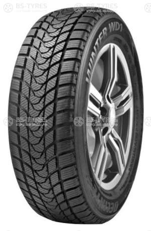 Delinte Winter WD1 205/55 R16 91T