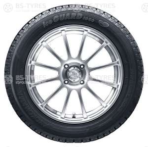 Ice Guard IG50+